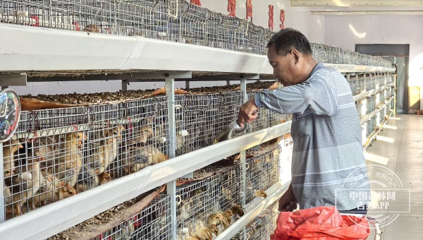 微信图片_20250926202349_3_4.jpg 微信图片_20250926202349_3_4.jpg